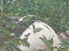 -青藏高原野生动物园