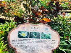 -南山植物园