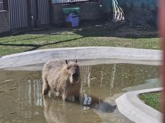 -鄂尔多斯野生动物园