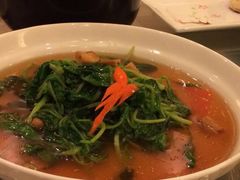 iphone_upload_pic-民族饭店-四季餐厅