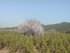 -龙洞风景区-藏龙涧