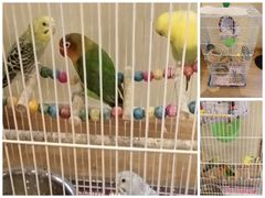 -品茗轩茶楼(江川路店)