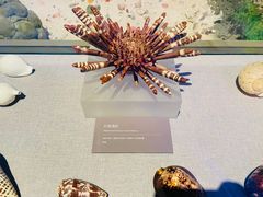 -中国（海南）南海博物馆