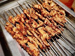 -福苗小骆驼烧烤(莲湖路店)