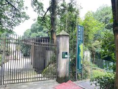 -南山植物园