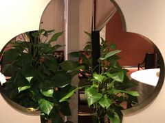 -文兴酒家(晶品店)