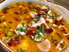 水煮鱼-鸿运楼·舌尖上的徽菜