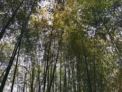 -柯老二特色炒鸡店(竹泉村店)