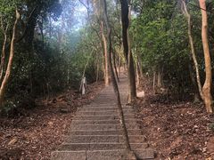 -梧桐山风景名胜区