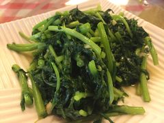 清炒茼蒿-燕青小馆(东园大厦店)