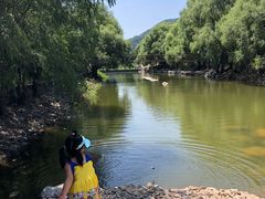 -天源渔港农庄