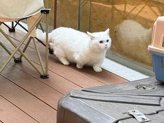 -爱樂咖啡(青年体育公园店)