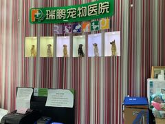-瑞鹏宠物医院华南总院·夜诊·心脏科·骨科