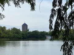 -苏州太湖国家湿地公园