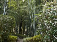 -天目湖涵田半山温泉