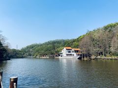 -深圳仙湖植物园