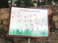 -六里坪国家森林公园