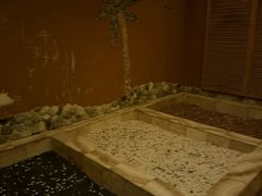 -水立方国际汤泉(六一中路店)