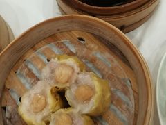 -粤珍轩·家宴·广式茶点(新城广场店)