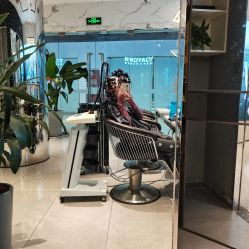 -罗亚帝造型