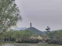 -北坞公园