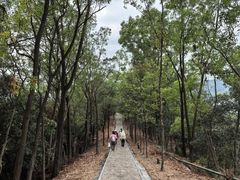 -大屏嶂森林公园