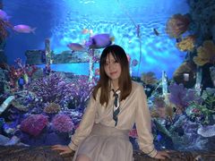 -暹罗海洋世界