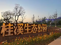 -桂溪生态公园
