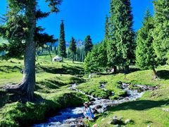 -新疆那拉提国家旅游度假区