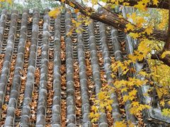 -大觉寺-停车场