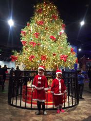 -幻贝家儿童乐园(温州银泰城店)