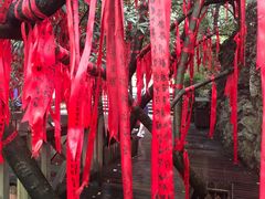 景点-滴水洞景区