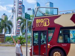 -Big Bus Tours 敞篷观光巴士