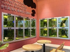 -芸山季·云南野生菌火锅(宝能环球汇店)