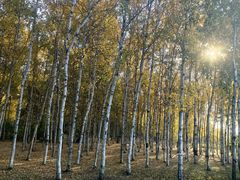 -长春市南湖公园