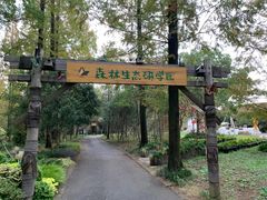 -东平国家森林公园