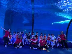 -全优加早教·托育(金沙御苑校区)