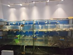 -胖大嫂渔家排档·全海景餐厅(渔村店)