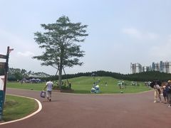 -迪茵湖田家舍生态农场
