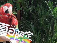 -太原动物园