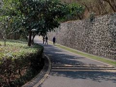 -小南山公园
