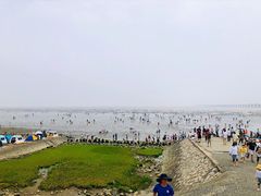 -南汇嘴观海公园