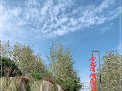 -合肥滨湖国家森林公园