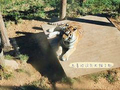 -大连森林动物园