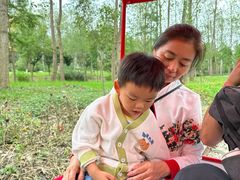 -合肥滨湖国家森林公园