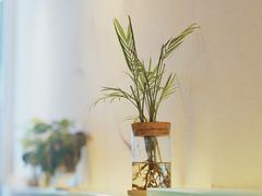 -红小满休闲餐厅(十全街店)