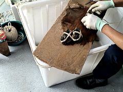 -阳澄湖大闸蟹·琼灵阁牌品牌连锁(吴中总店)