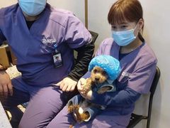 -萌兽医馆·绝育·24小时内科·宠物医院(德胜店)