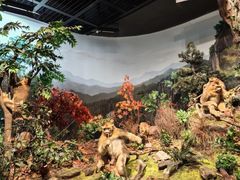 -陕西自然博物馆