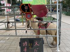 -1982农场